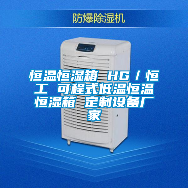 恒温恒湿箱 HG/恒工 可程式低温恒温恒湿箱 定制设备厂家
