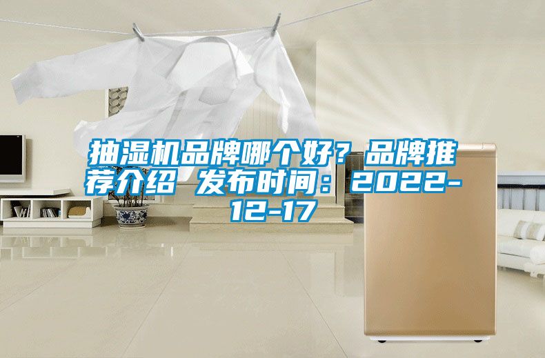 抽湿机品牌哪个好？品牌推荐介绍 发布时间：2022-12-17