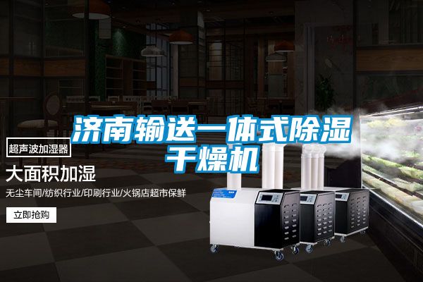 济南输送一体式除湿干燥机