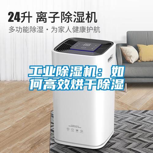 工业除湿机：如何高效烘干除湿