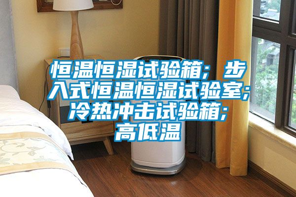 恒温恒湿试验箱; 步入式恒温恒湿试验室; 冷热冲击试验箱; 高低温