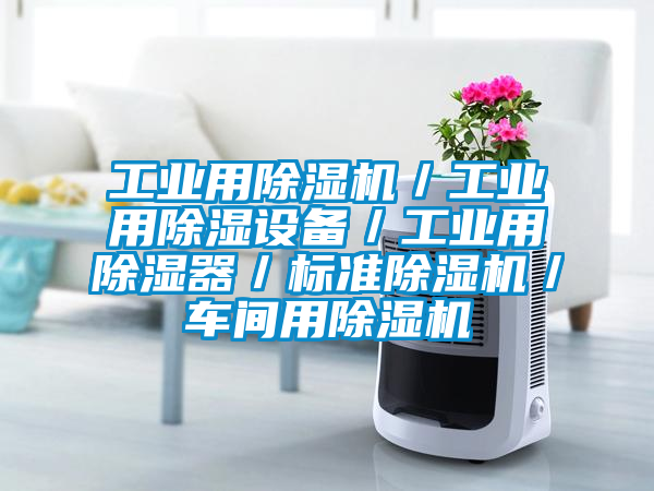 工业用除湿机/工业用除湿设备/工业用除湿器/标准除湿机/车间用除湿机