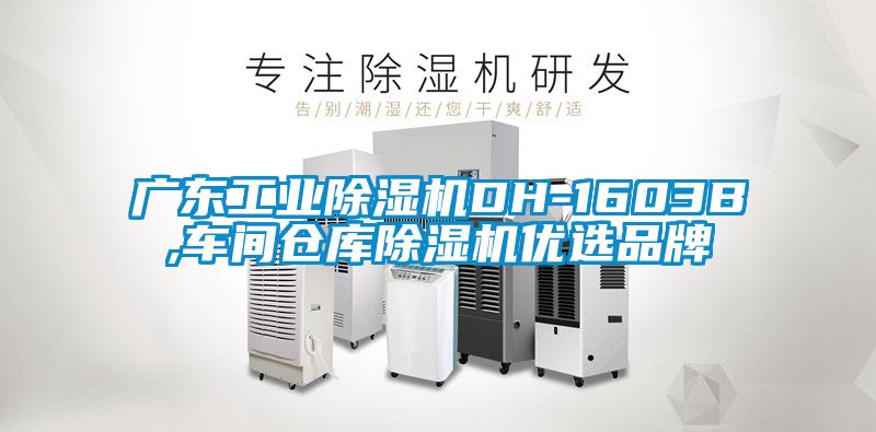 广东工业除湿机DH-1603B,车间仓库除湿机优选品牌