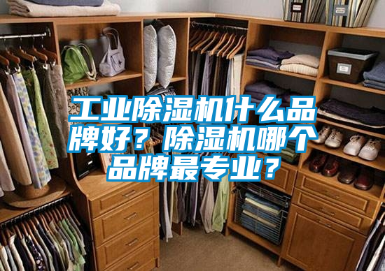 工业除湿机什么品牌好？除湿机哪个品牌最专业？