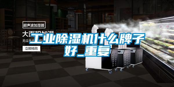 工业除湿机什么牌子好_重复