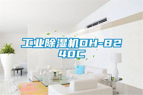 工业除湿机DH-8240C