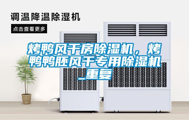 烤鸭风干房除湿机，烤鸭鸭胚风干专用除湿机_重复