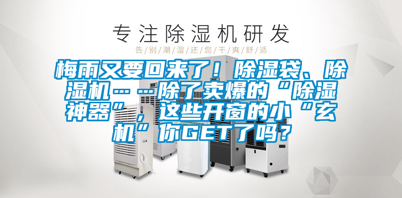 梅雨又要回来了！除湿袋、除湿机……除了卖爆的“除湿神器”，这些开窗的小“玄机”你GET了吗？