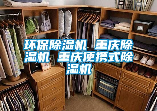 环保除湿机 重庆除湿机 重庆便携式除湿机
