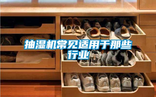 抽湿机常见适用于那些行业