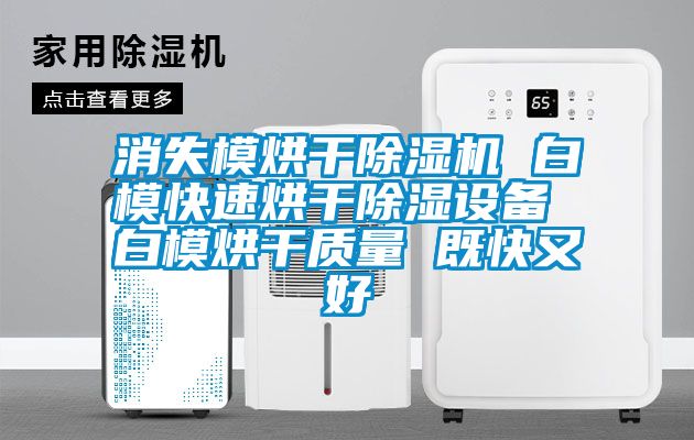 消失模烘干除湿机 白?？焖俸娓沙璞?白模烘干质量 既快又好