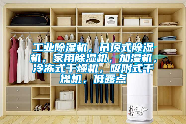 工业除湿机，吊顶式除湿机，家用除湿机，加湿机，冷冻式干燥机，吸附式干燥机，低露点