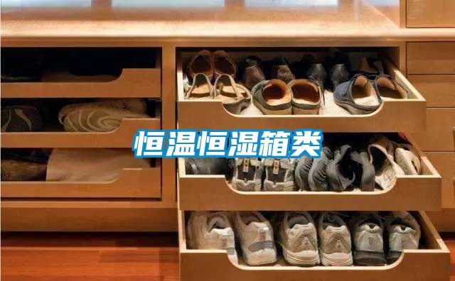 恒温恒湿箱类