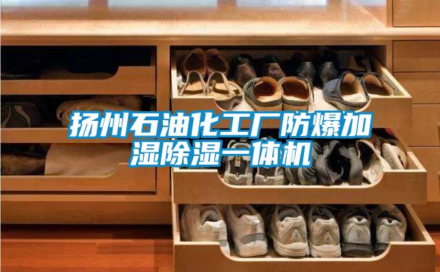 扬州石油化工厂防爆加湿除湿一体机