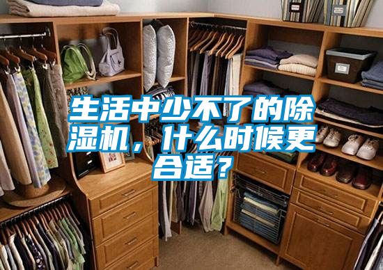 生活中少不了的除湿机，什么时候更合适？