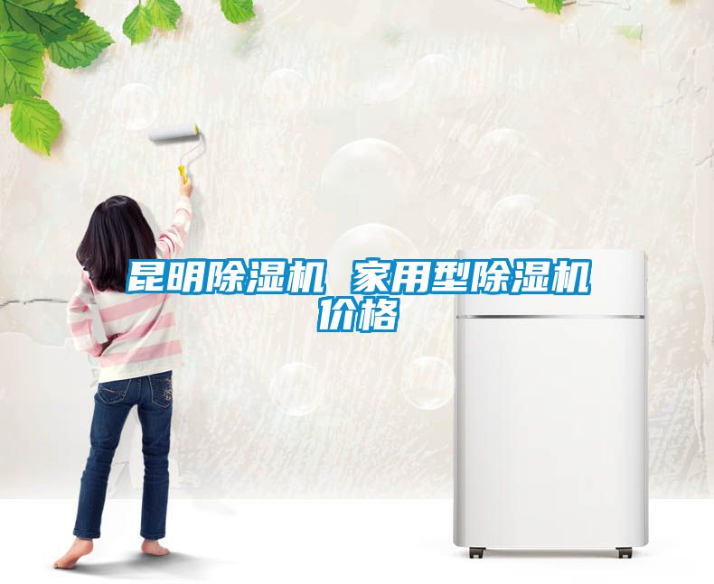 昆明除湿机 家用型除湿机价格