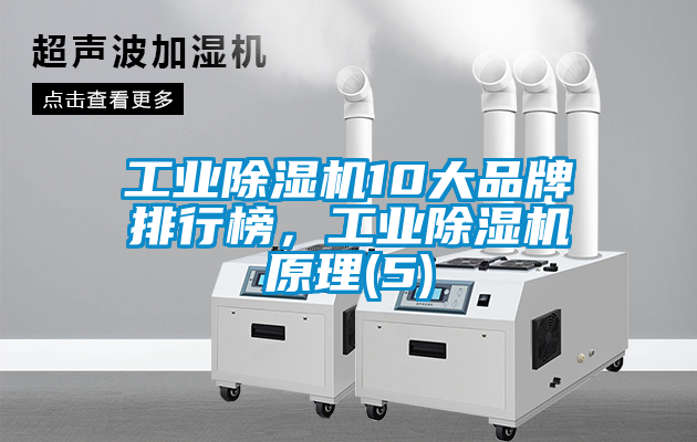 工业除湿机10大品牌排行榜，工业除湿机原理(5)