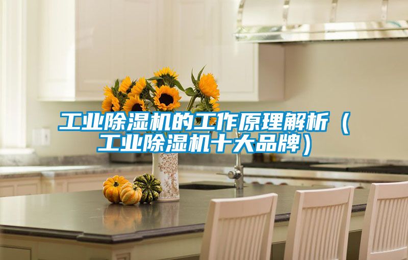 工业除湿机的工作原理解析（工业除湿机十大品牌）