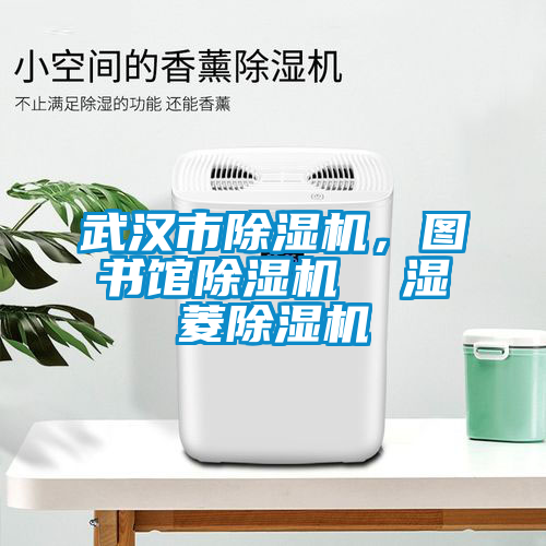 武汉市除湿机，图书馆除湿机  湿菱除湿机