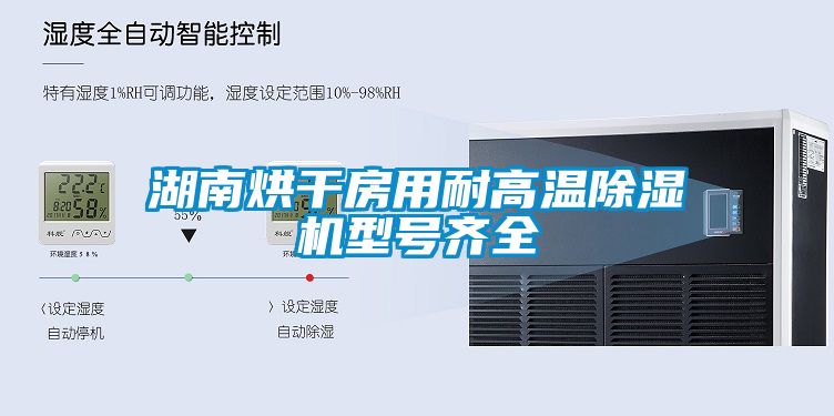 湖南烘干房用耐高温除湿机型号齐全