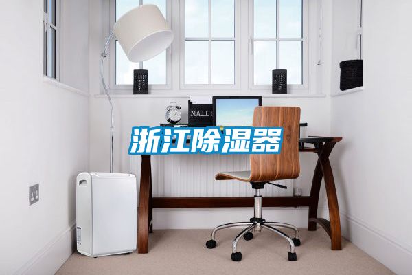 浙江除湿器