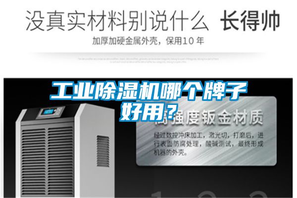 工业除湿机哪个牌子好用?