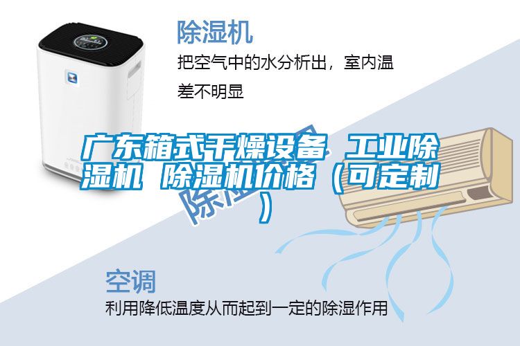 广东箱式干燥设备 工业除湿机 除湿机价格(可定制)