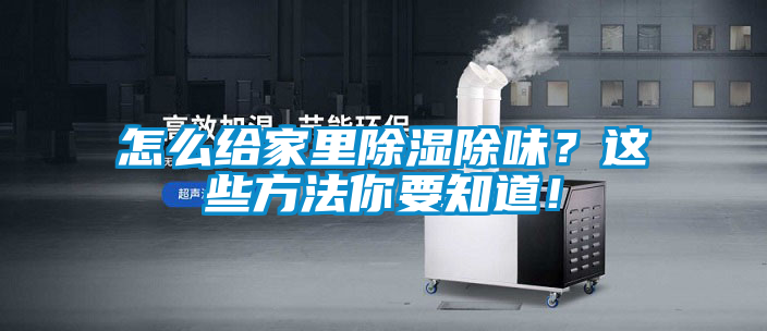 怎么给家里除湿除味？这些方法你要知道！