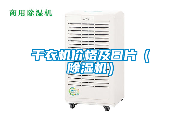 干衣机价格及图片（除湿机）