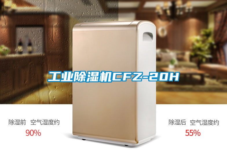 工业除湿机CFZ-20H