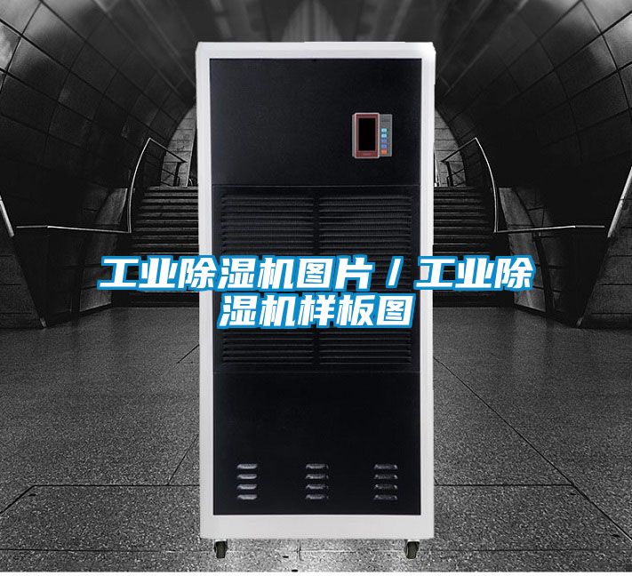 工业除湿机图片／工业除湿机样板图