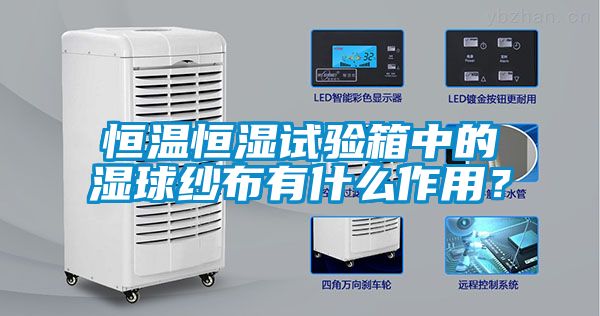 恒温恒湿试验箱中的湿球纱布有什么作用？