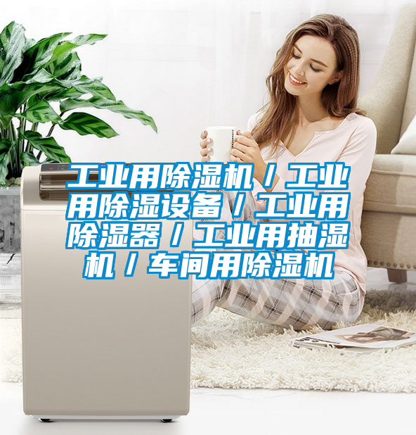 工业用除湿机/工业用除湿设备/工业用除湿器/工业用抽湿机/车间用除湿机