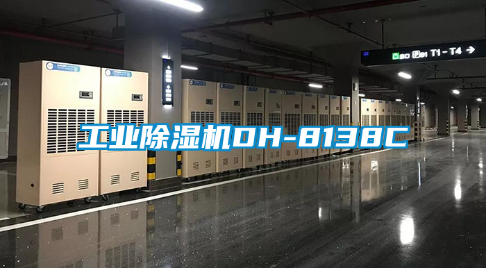 工业除湿机DH-8138C