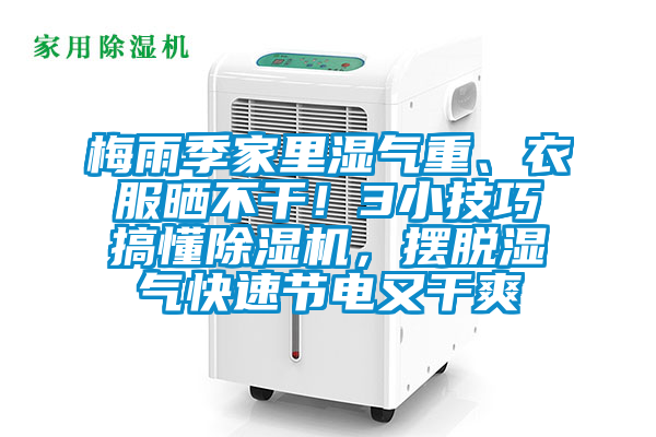 梅雨季家里湿气重、衣服晒不干！3小技巧搞懂除湿机，摆脱湿气快速节电又干爽