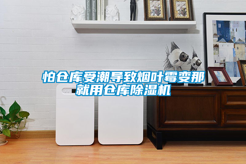 怕仓库受潮导致烟叶霉变那就用仓库除湿机