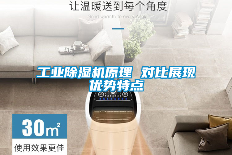 工业除湿机原理 对比展现优势特点