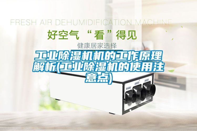 工业除湿机机的工作原理解析(工业除湿机的使用注意点)