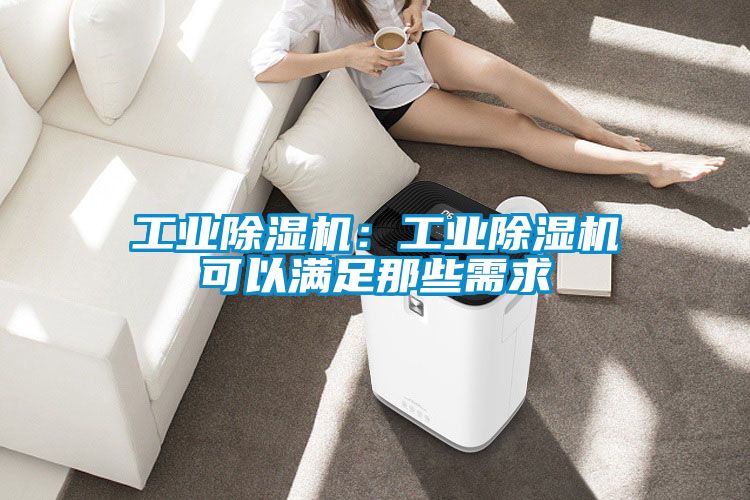 工业除湿机：工业除湿机可以满足那些需求