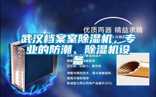 武汉档案室除湿机，专业的防潮、除湿机设备