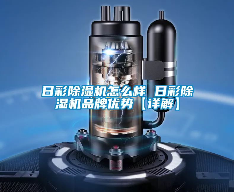 日彩除湿机怎么样 日彩除湿机品牌优势【详解】