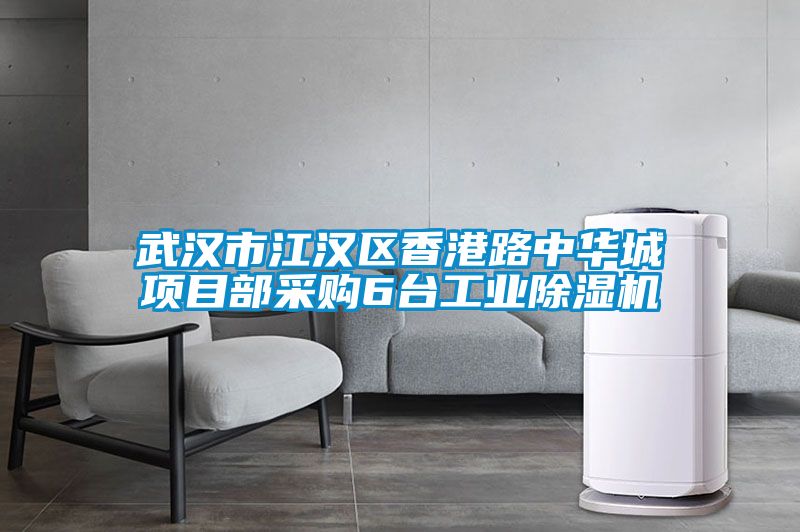 武汉市江汉区香港路中华城项目部采购6台工业除湿机