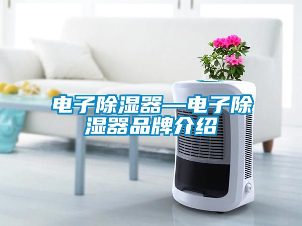 电子除湿器—电子除湿器品牌介绍
