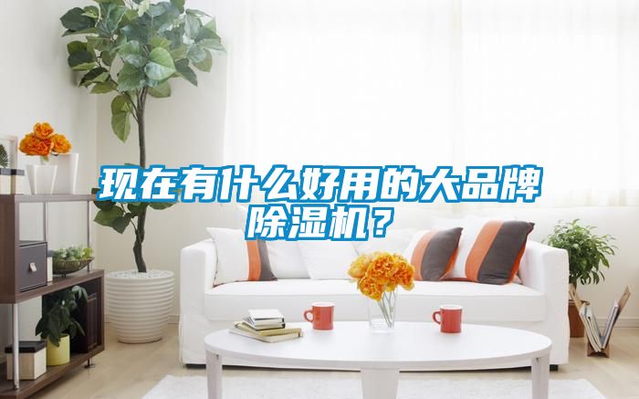 现在有什么好用的大品牌除湿机？