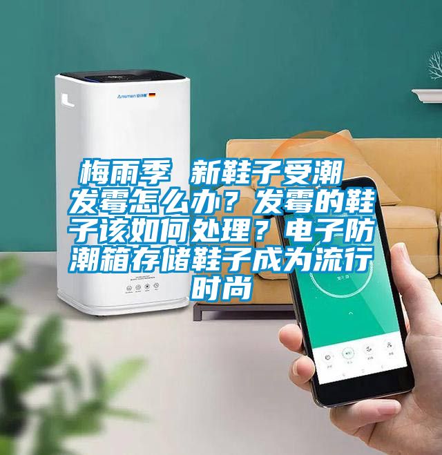 梅雨季 新鞋子受潮 发霉怎么办？发霉的鞋子该如何处理？电子防潮箱存储鞋子成为流行时尚