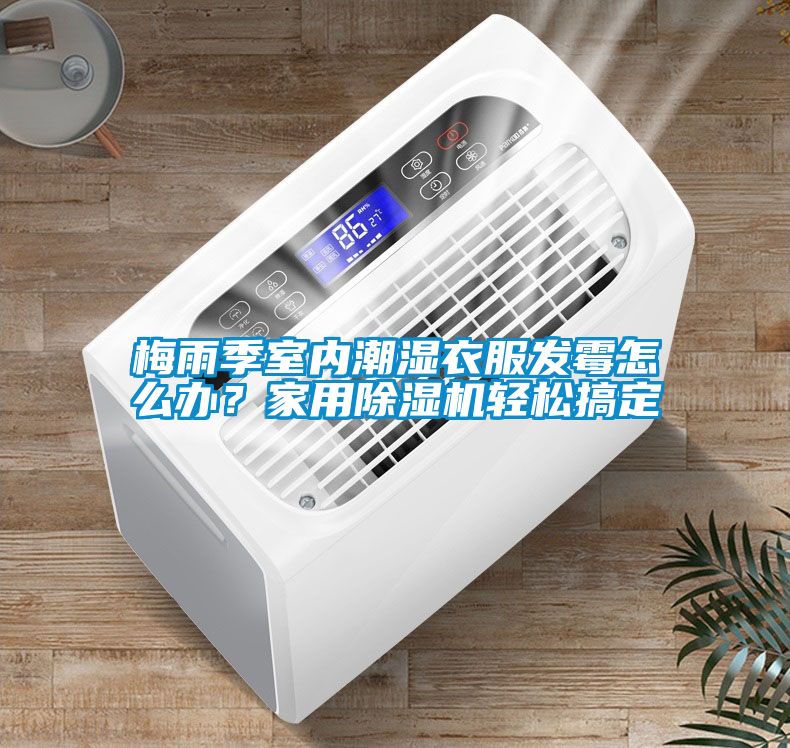 梅雨季室内潮湿衣服发霉怎么办？家用除湿机轻松搞定