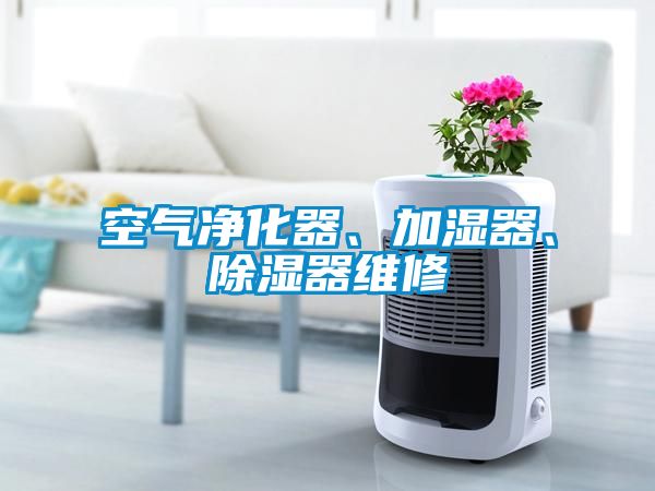 空气净化器、加湿器、除湿器维修