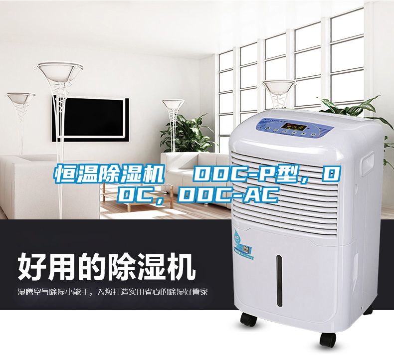 恒温除湿机  DDC-P型，DDC，DDC-AC