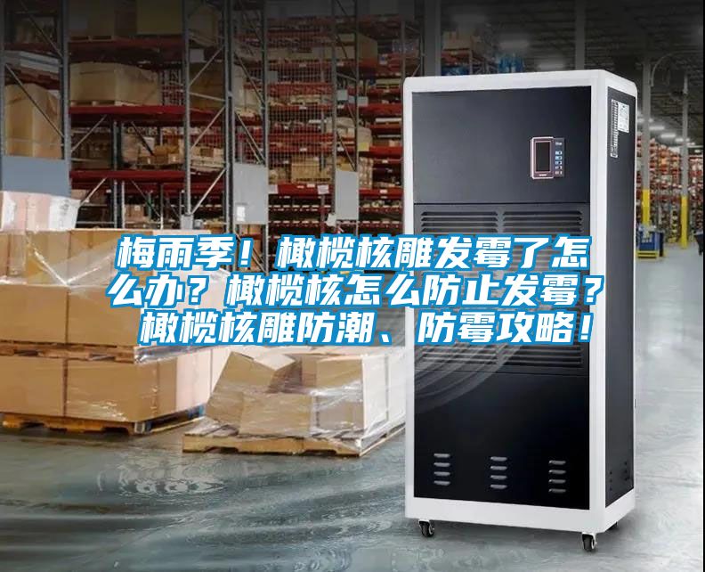 梅雨季！橄榄核雕发霉了怎么办？橄榄核怎么防止发霉？ 橄榄核雕防潮、防霉攻略！