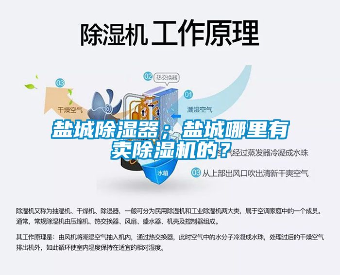 盐城除湿器；盐城哪里有卖除湿机的？